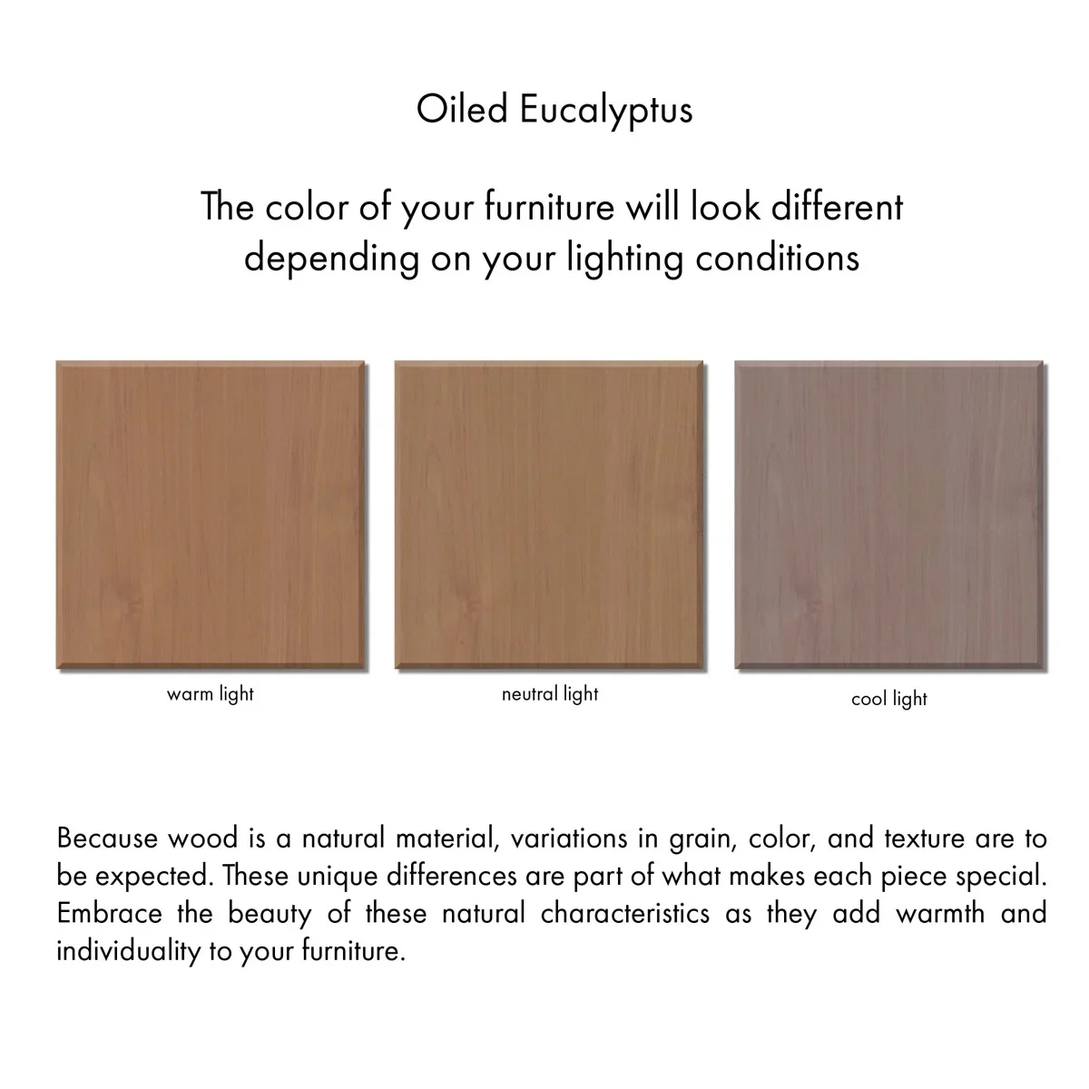 Basel 39" Outdoor Lounge Chair In Oiled Eucalyptus - Image 10